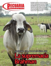 PECUARIA & NEGOCIOS - AO 12 NMERO 142 - REVISTA MAYO 2016 - PARAGUAY